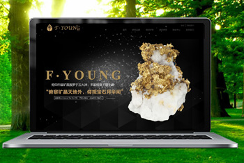 ͼľ��˸������ﱦʯ